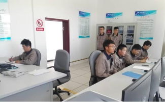 晶澳巴林右旗100MW光伏電站成功并網發電，信息系統運行維護服務保駕護航